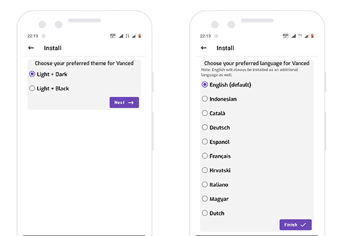 step-to-choose-theme-and-language